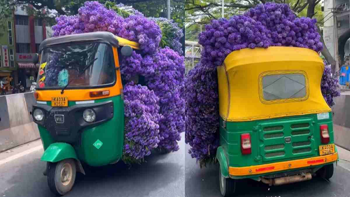 Bengaluru Auto Filled With Tabebuia Blooms, Paints The Town Purple; Netizens Say, “Prettiest Auto Ever”