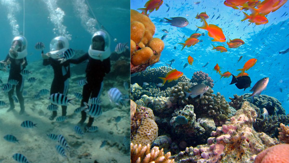 What Is Sea Walking, The New Underwater Activity For Non-Swimmers In Andamans?