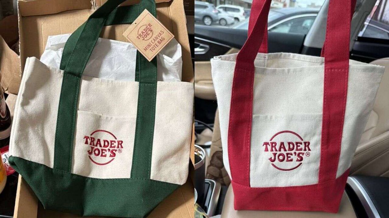 2.99-Trader-Joes-Mini-Canvas-