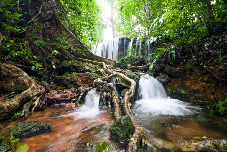 Agumbe