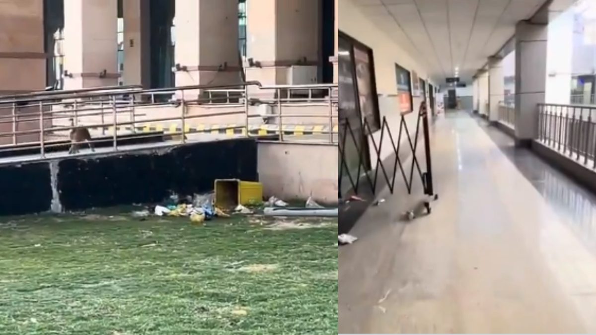 Viral Video Exposes Shocking Neglect At Ayodhya Railway Station, Prompts ₹50,000 Fine On Contractor