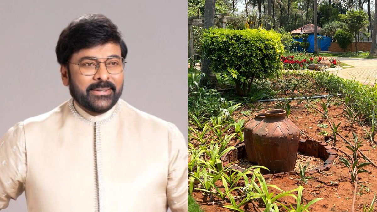 Chiranjeevi Reveals How He Battles Water Crisis At His Bengaluru Farmhouse; Netizens Grateful For Tips