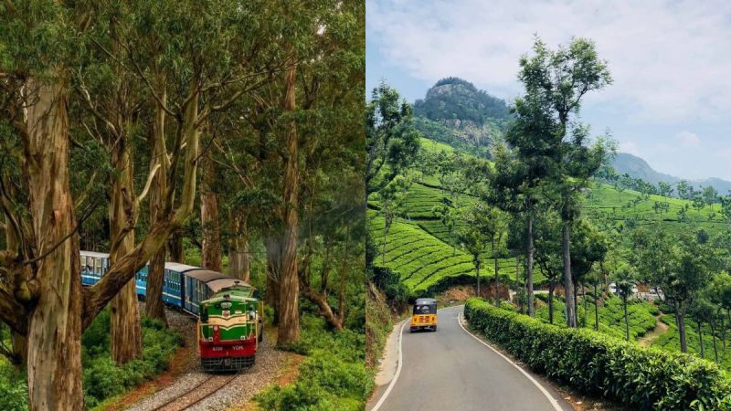 ooty toy train