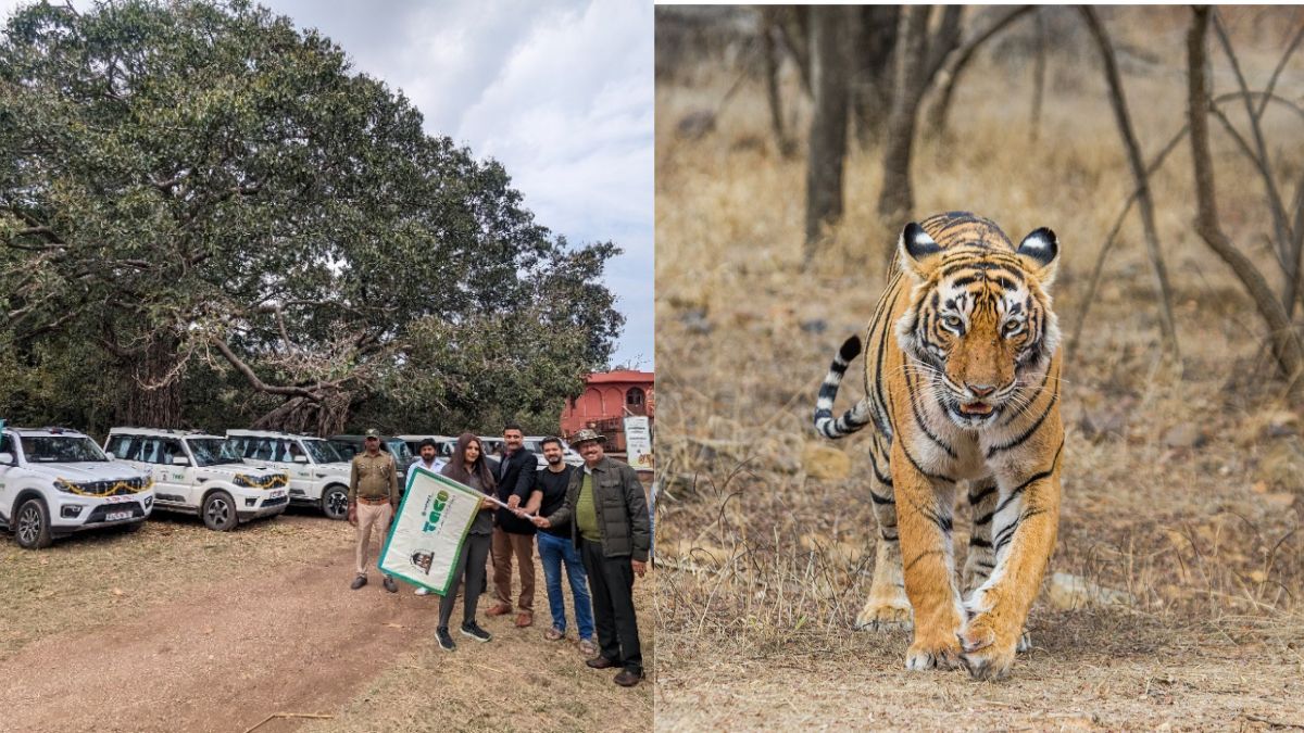 Ranthambore National Park, Rajasthan: 7 New Patrolling Vehicles Deployed To Help With Wildlife Conservation