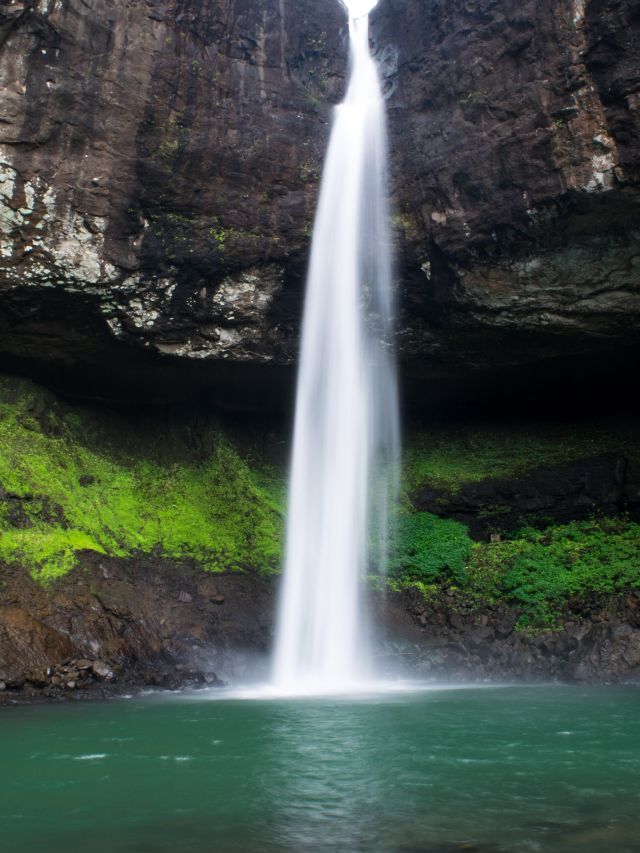 6 Nature Trails To Take To Soak In  Goa’s Monsoon Beauty