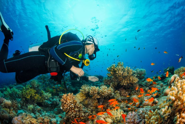 Diving In Hammamet