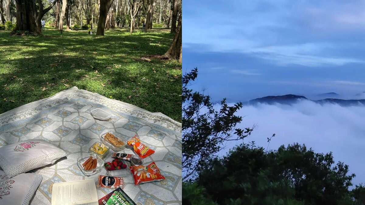 From Trekking To Picnic Date, Redditors Share Offbeat Experiences To Enjoy In Bengaluru