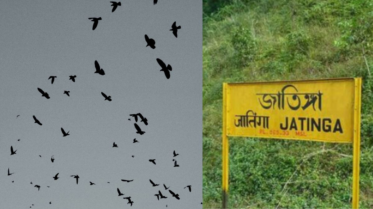 Birds In Assam’s Jatinga Valley Don’t ‘Commit Suicide’; Here’s The Actual Reason Behind Their Mass Death