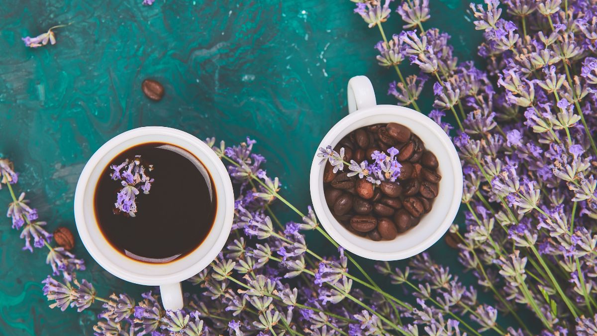Lavender Coffee Is Trending! What Is This Viral Drink & Its Benefits?