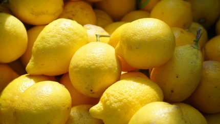 Tamil Nadu Temple Auctions 9 Sacred Lemons For Whopping ₹2.36 Lakh For THIS Reason