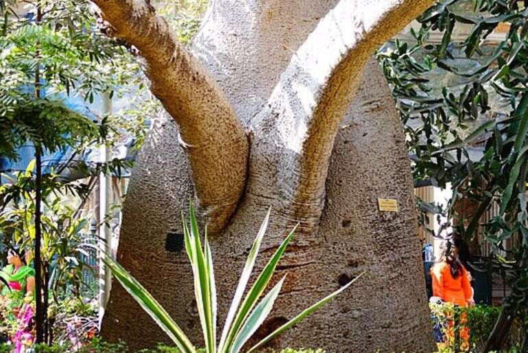 Animals & Birds Byculla Zoo