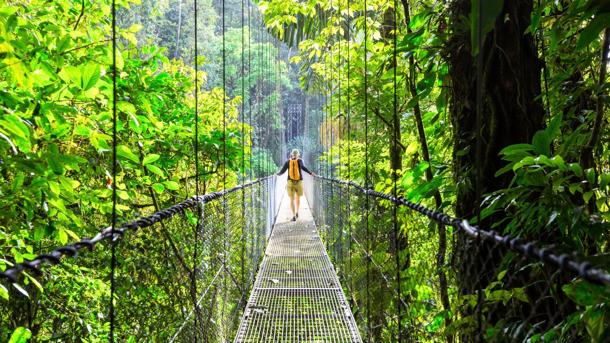 From Parambikulam Tiger Reserve To Shendurney, Go On These 6 Treks In Kerala’s National Parks