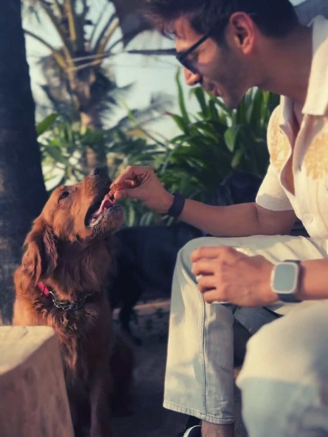 Inside Kartik Aaryan’s Blissful Time In Goa With Dogs, Chai & Biscuit