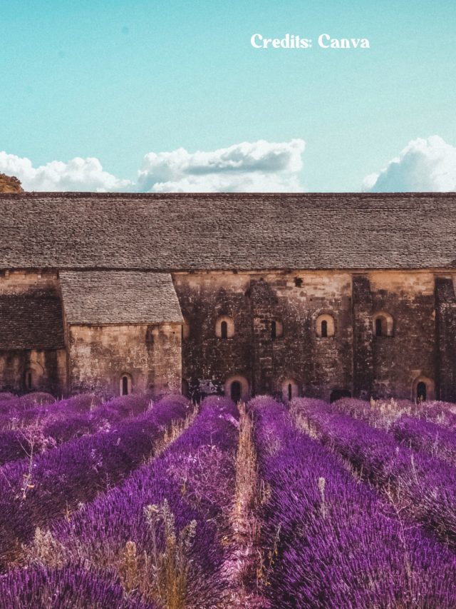 8 Best Places In The World To Explore In April 2024