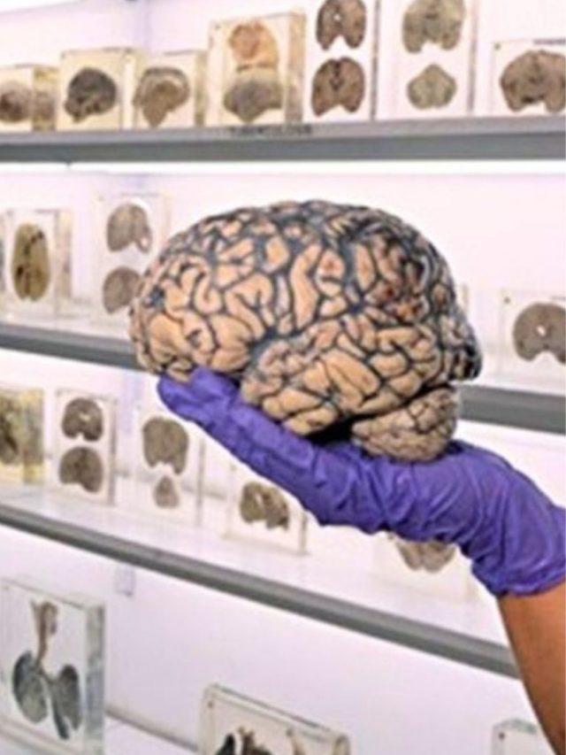 You Have To Visit These 7 Off-Beat Spots In Bangalore You Have To Visit These 7 Off-Beat Spots In Bangalore