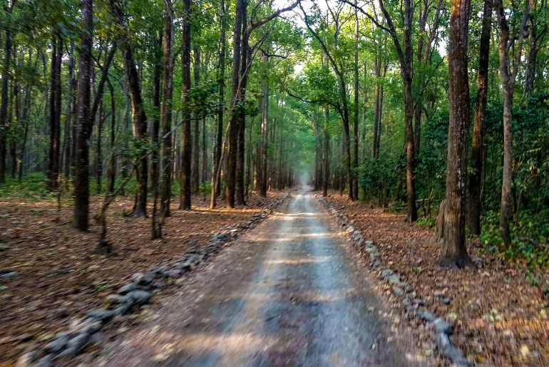 tiger safari jim corbett