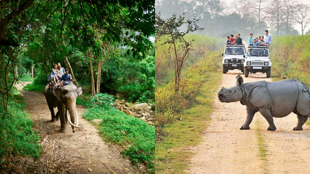 Assam: Jeep Safari & Elephant Rides To Remain Closed In Kaziranga Park On THESE Dates During PM Modi’s Visit
