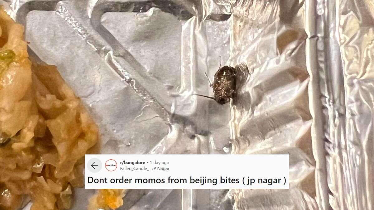 Bengaluru: Redditor Finds A Dead Cockroach In Veg Momos; Netizens Call It, “Extra Protein”