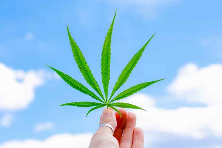 Germany legalises marijuana