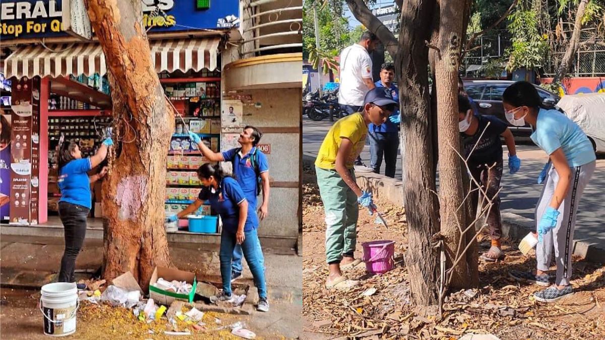 Bengaluru: Environmental Launch ‘Cool Tree Campaign’ To Protect & Increase Lifespan Of Trees In The Garden City