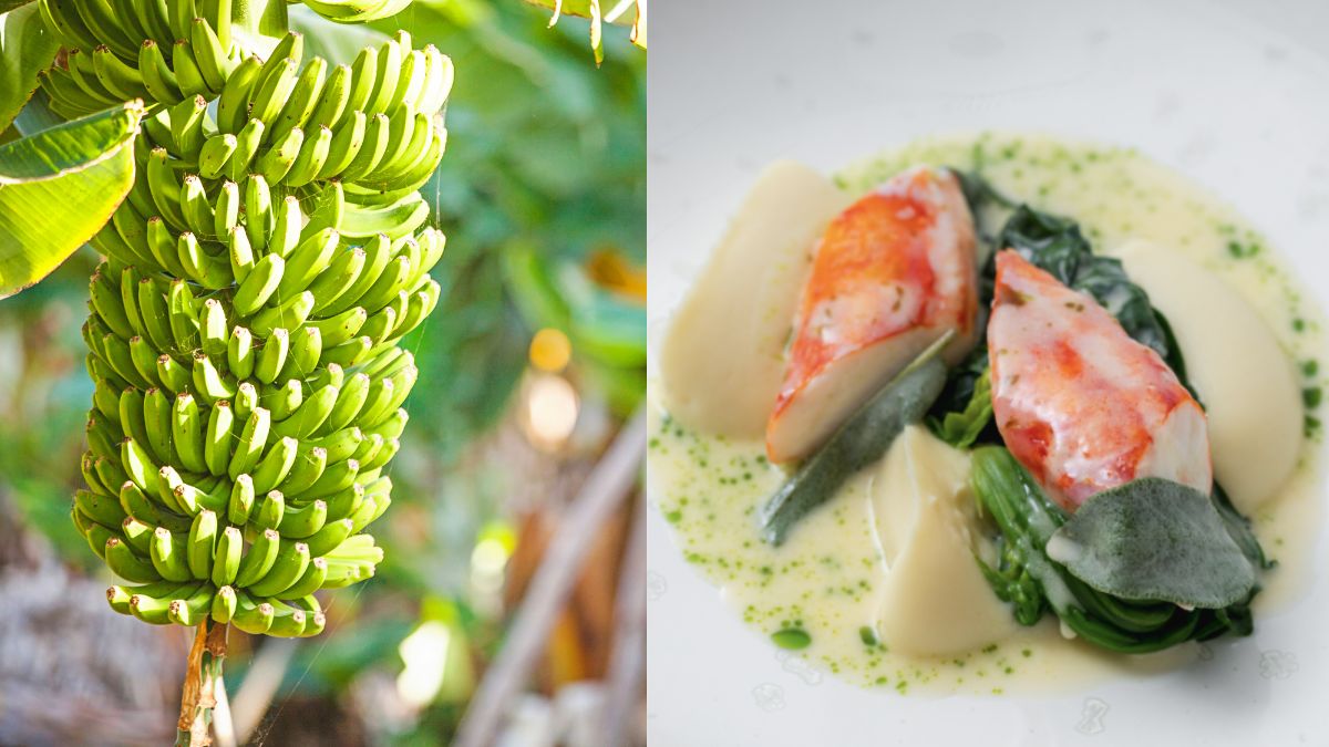 From Saudi Arabia’s Fruit Tree Plantation To Dubai’s Gastrobar’s New Menu; 6 GCC Updates For You