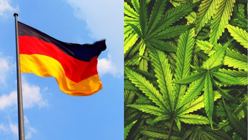 Germany legalises marijuana