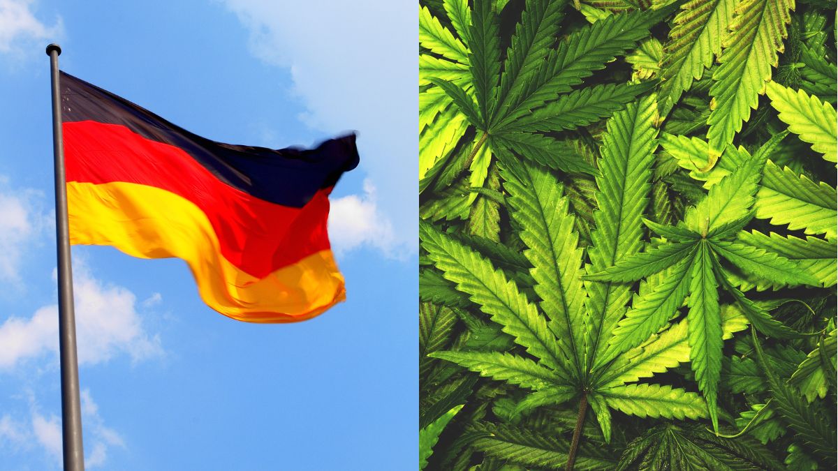 Germany Legalises Recreational Use Of Cannabis; Allows Adults To Carry 25 Grams Of Marijuana