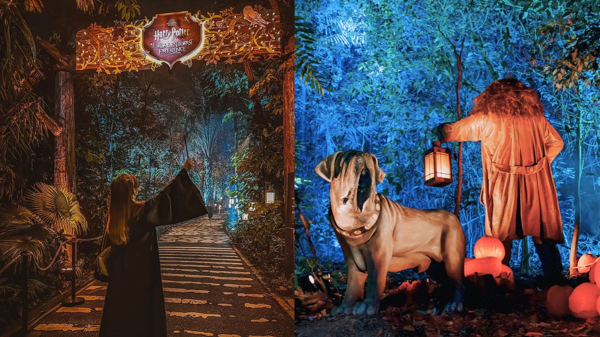 In Singapore & Melbourne, Wander Through The Illuminated Forbidden Forest & Relive Your Favourite Harry Potter Moments