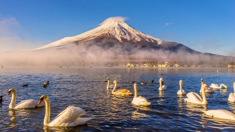 Japan block Mount Fuji view