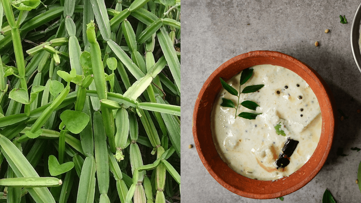 What Is Nalleru Pachadi? All About The Tangy Telugu Treat Made From A Medicinal Plant & Its Benefits