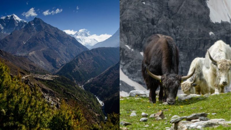 Sagarmatha National Park