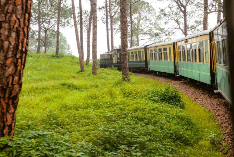 Shimla