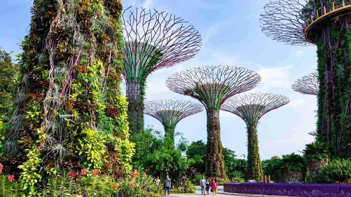Singapore Tourism Board & MakeMyTrip To Curate Unique Holiday Packages For Indians; Details
