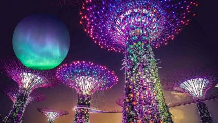 Soon, Witness The Magnificence Of Northern Lights In Singapore’s Gardens Of The Bay