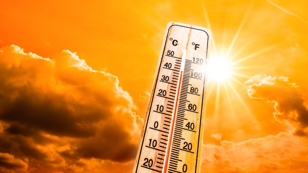 These States Will Witness A Hotter Summer This April-June With Extreme Heatwaves: IMD Predictions