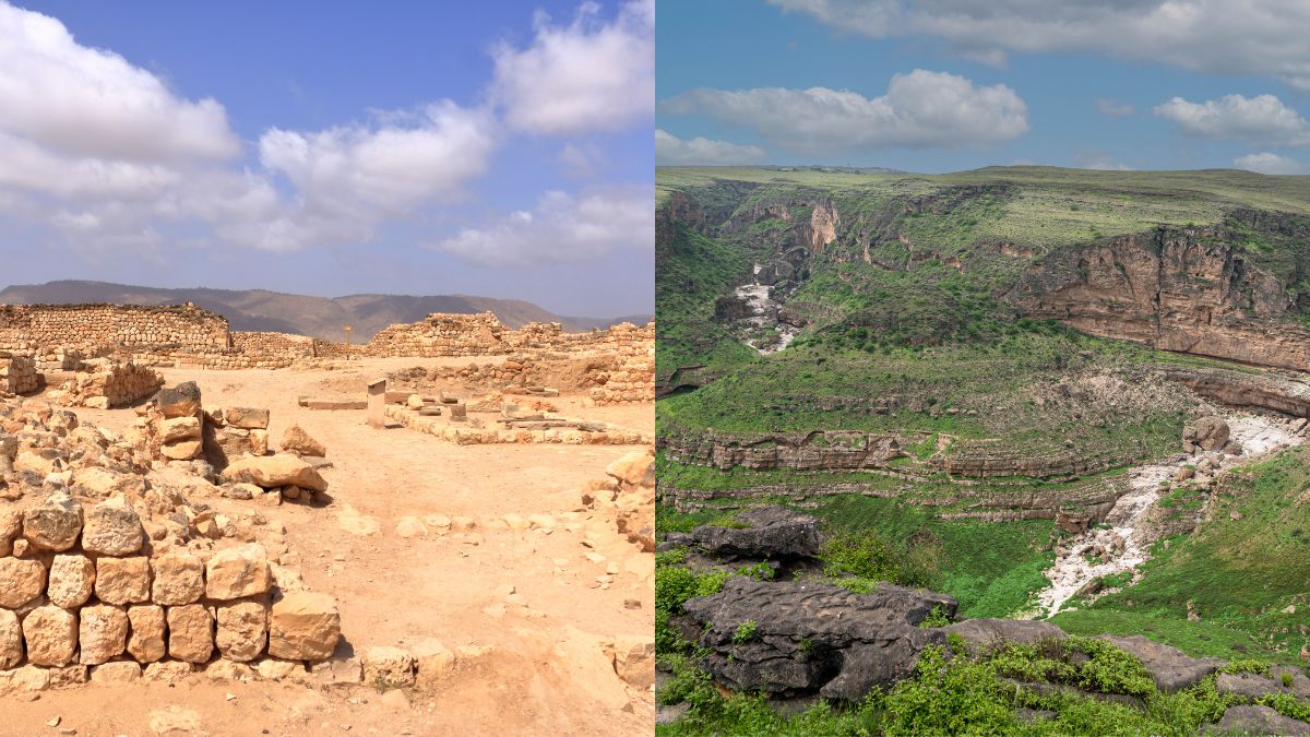 10 Best Things To Do In Salalah, Oman To Explore Its Beauty