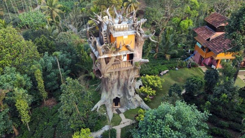 Tree House In Wayanad