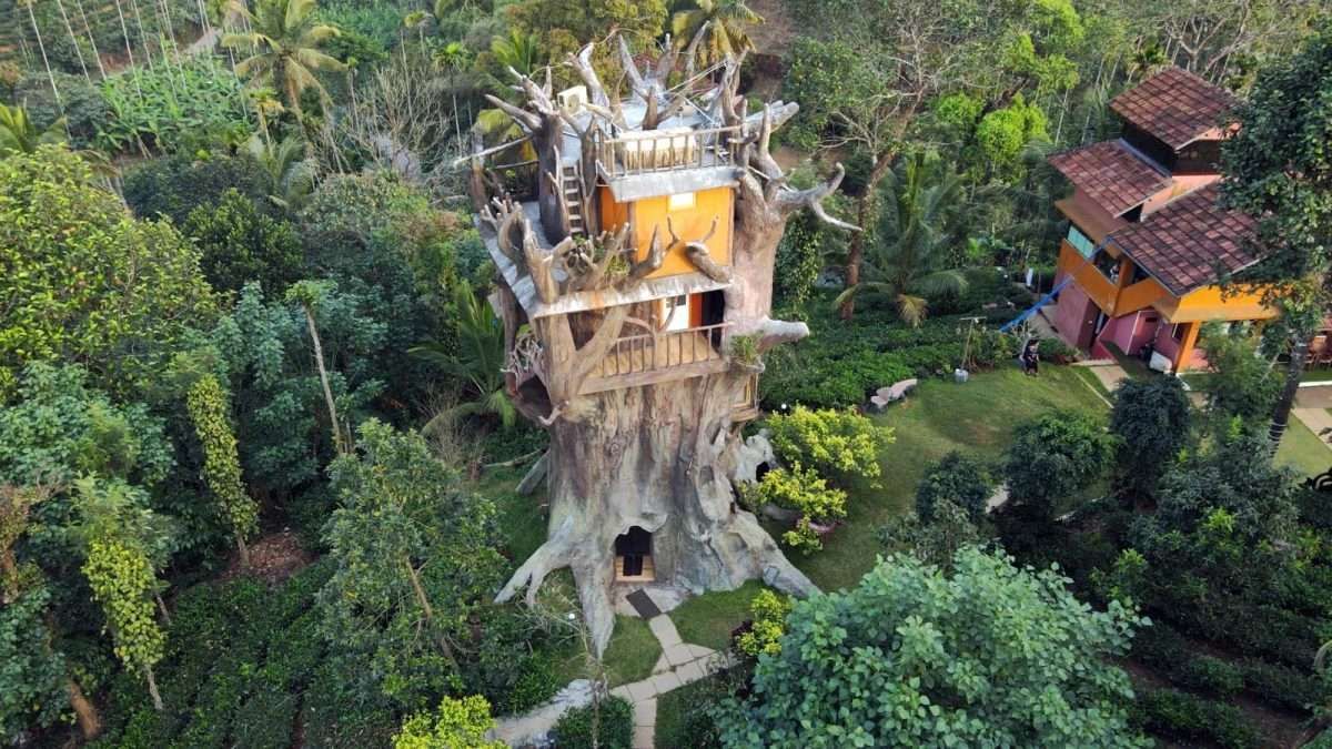 Stay At The Top Of An Old Tree & Bask In The Glory Of Wayanad’s Lush Greens At This Tree House For ₹4K/N