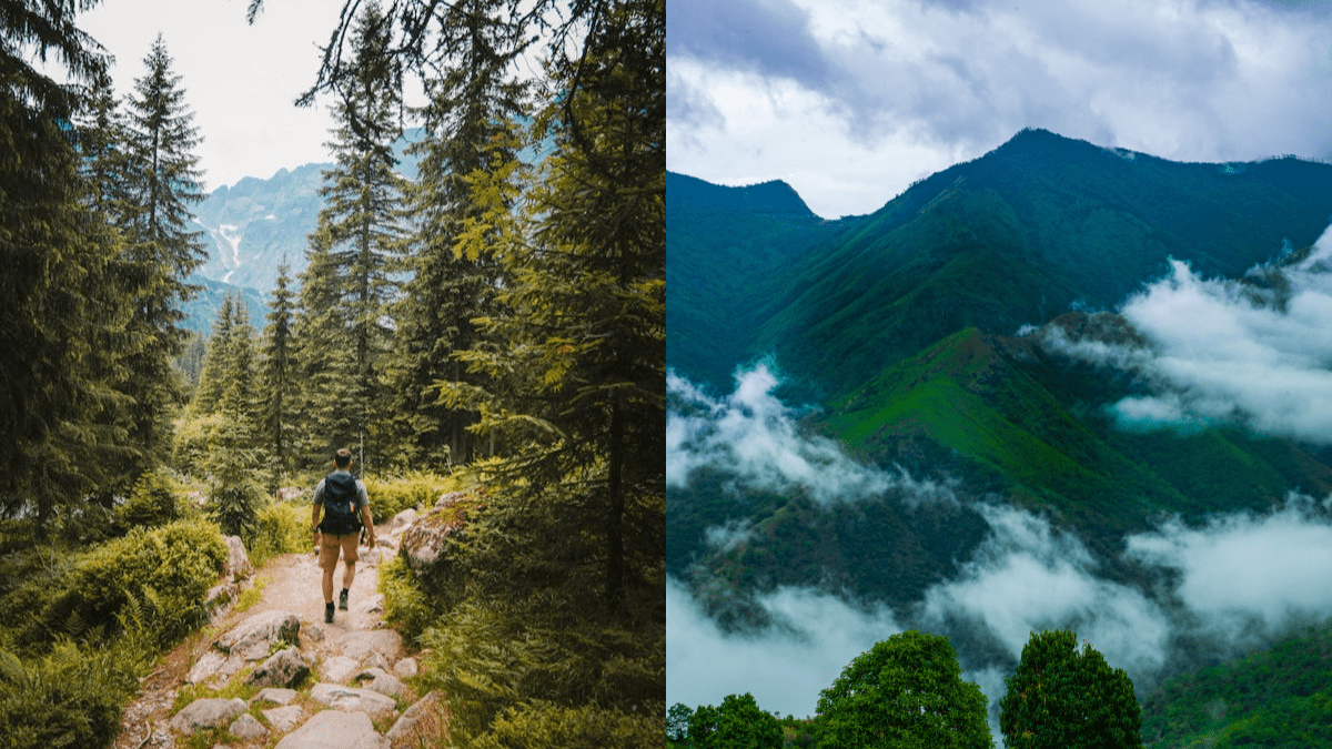 From Yercaud To Chimmini, 8 Best Trekking Spots In South India For Your Summer Itinerary