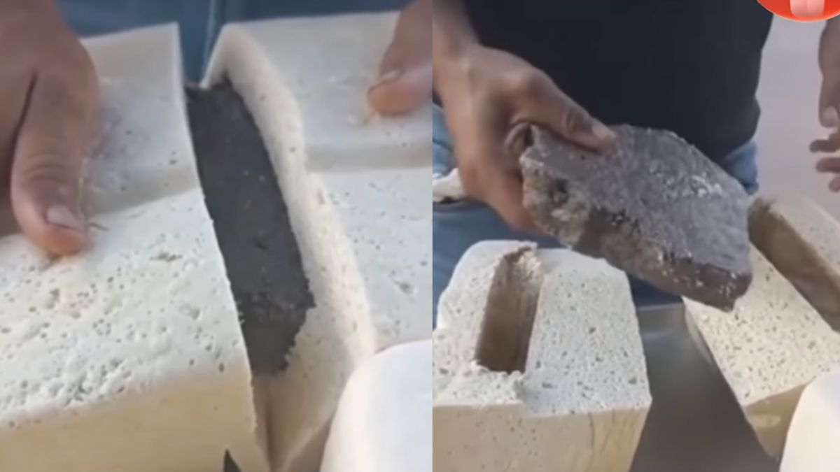 Watch: Chandigarh Woman Finds Massive Stone Stuffed Inside Paneer Ordered Online