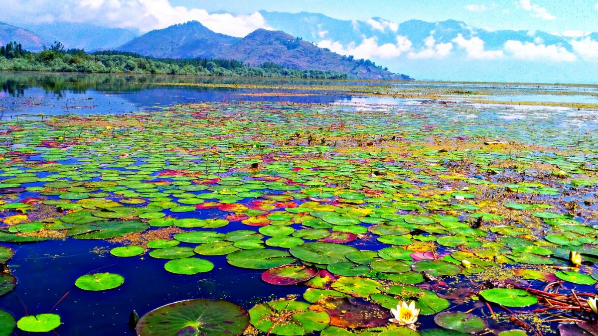When In Kashmir, Visit India’s Largest Freshwater Lake, Wular Lake