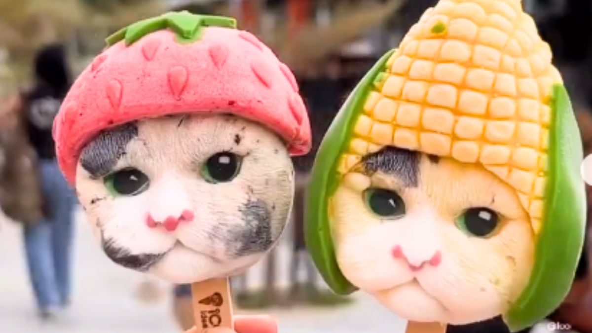 This Viral & Realistic-Looking Cat Wearing A Cute Hat In Bangkok Is Actually An Ice Cream! Would You Eat?