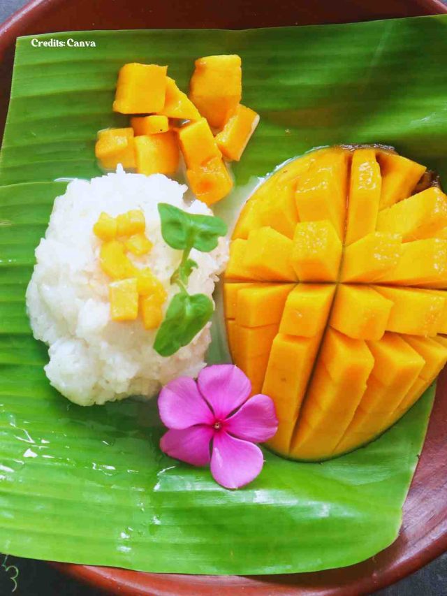 6 Vegan Mango Desserts You Can Make This Mango Season 6 Vegan Mango Desserts You Can Make This Mango Season