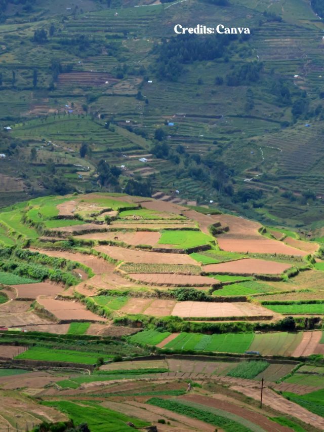 This Summer, Madras High Court Rolled Out E-Passes To Enter Nilgiris And Kodaikanal