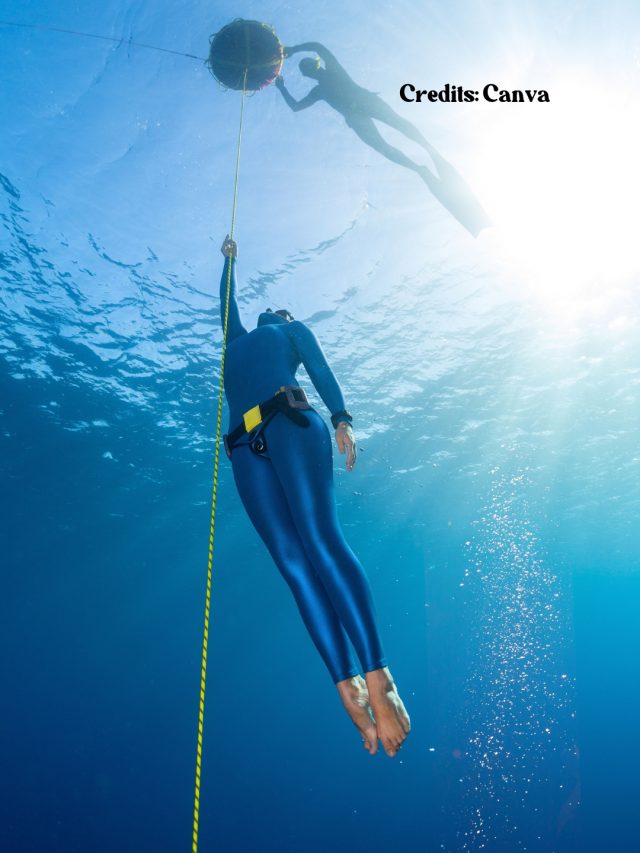 Looking For A Freedive Adventure? 8 Best Destinations In The World To Choose From