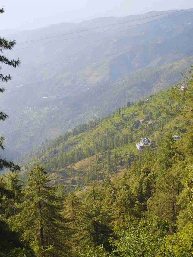 Mashobra near Shimla