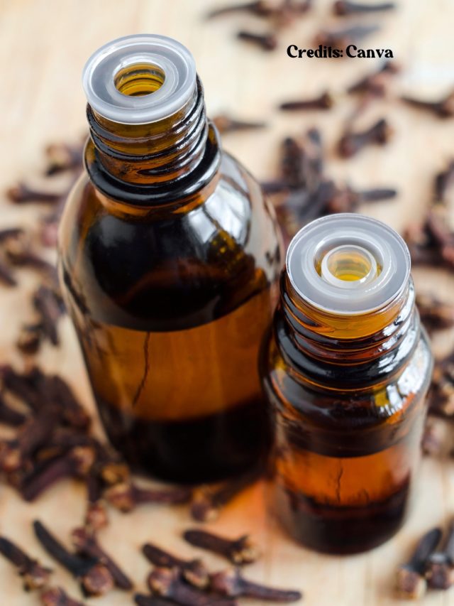 8 Spices Most Commonly Used To Make Perfumes 8 Spices Most Commonly Used To Make Perfumes