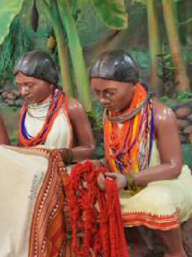 5 Must-Visit Tribal Museums Of India