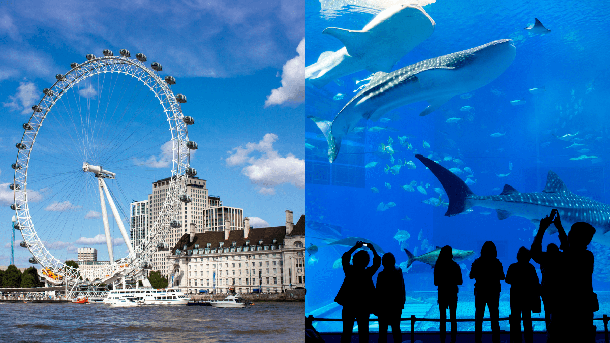 London Residents Can Now Enjoy A 50% Discount On Top Attractions In The City Like London Eye, Madame Tussauds & More