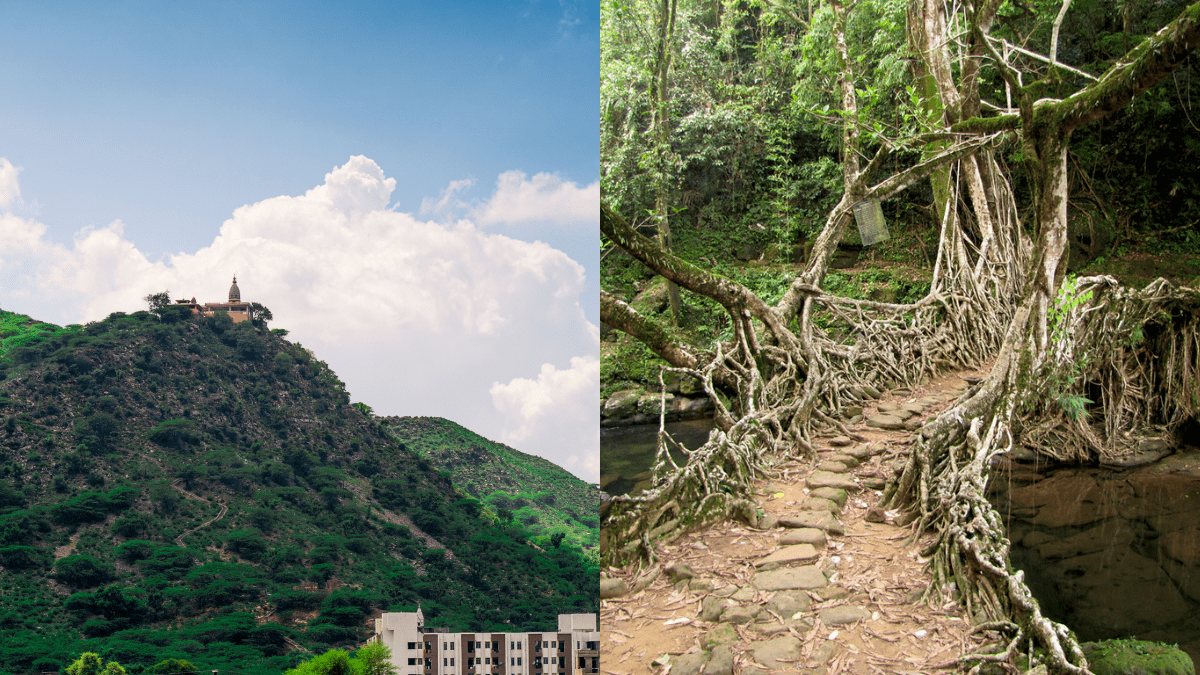 From The Aravali Hills To Mawlynnong Village, Here Are 10 Enchanting Sacred Groves Across India